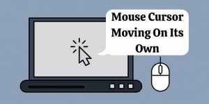 Mouse Cursor Starts Moving On Its Own Issue Fixed Hyderabad